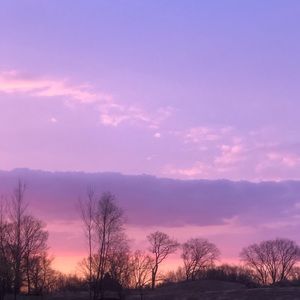 Meet your Posher, Ella